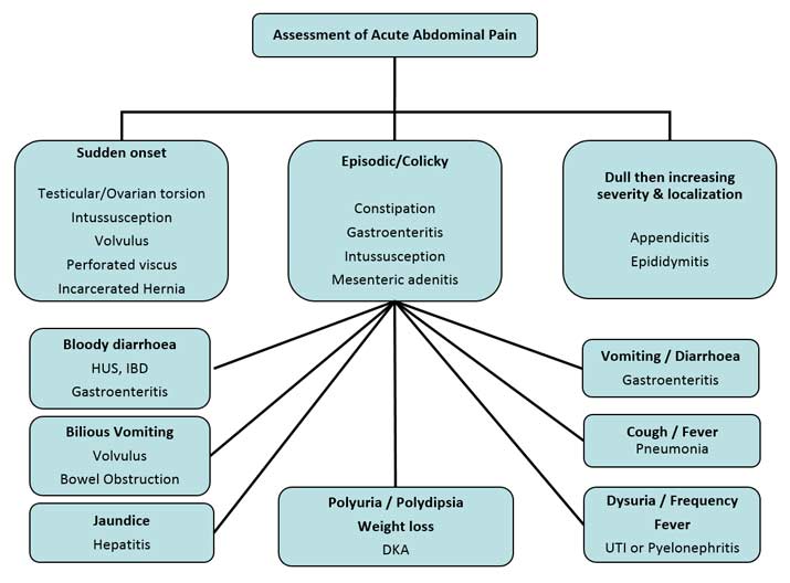 Management flowchart