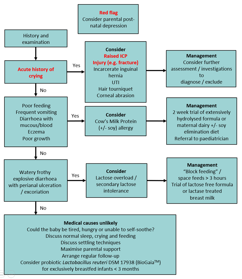 Management flow chart