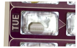 One tablet in the blister pack